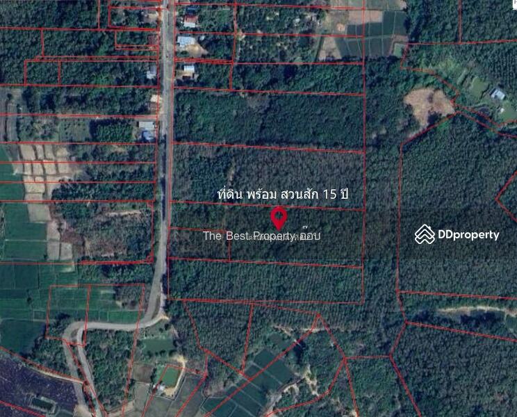 For Sale - ที่ดินท่าปลา อุตรดิตถ์, Uttaradit