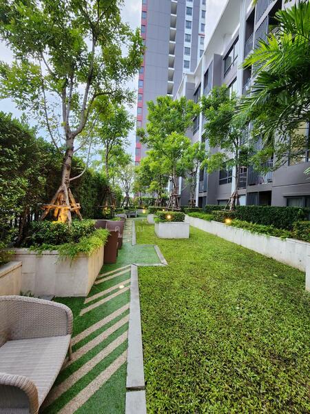 The Tree Charan 30 : เดอะ ทรี จรัญฯ 30, กรุงเทพ, 256 46 ถ. จรัญสนิทวงศ์, บ้านช่างหล่อ, บางกอกน้อย, กรุงเทพ, 27 ตร.ม., คอนโด ขาย, โดย คุณริช, 11905569 - DDproperty.com