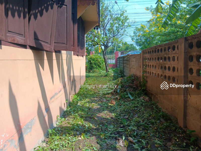 For Sale - Single house – Doi Lor, Chom Thong 2 Ngan 36 Sq.w. (ID:694HS), Chiang Mai