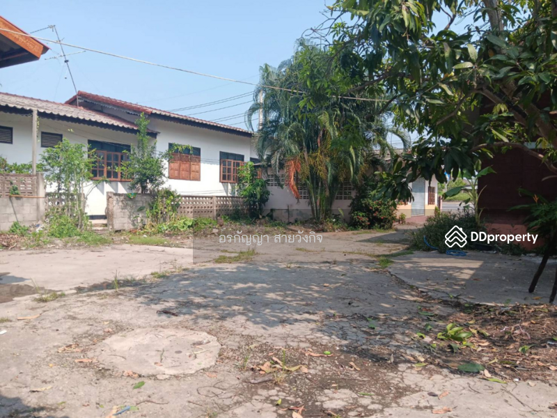 For Sale - Single house – Doi Lor, Chom Thong 2 Ngan 36 Sq.w. (ID:694HS), Chiang Mai