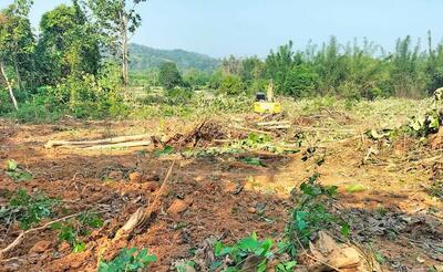 ขาย - ที่ดินลับแล อุตรดิตถ์, อุตรดิตถ์