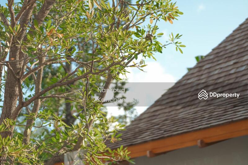 For Sale - Anchan Mountain Breeze, Phuket
