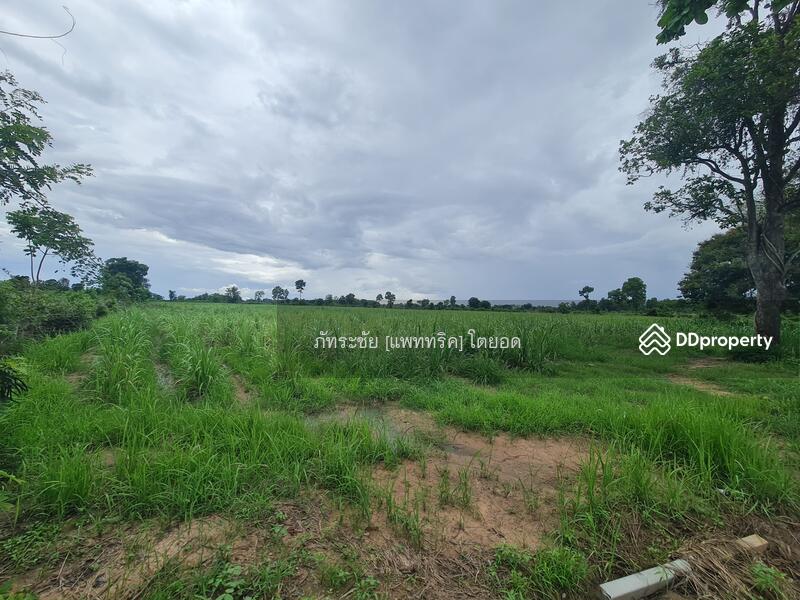 สนใจ ติดต่อคุณอุบล  099-2262928  @KrutzRealty.com