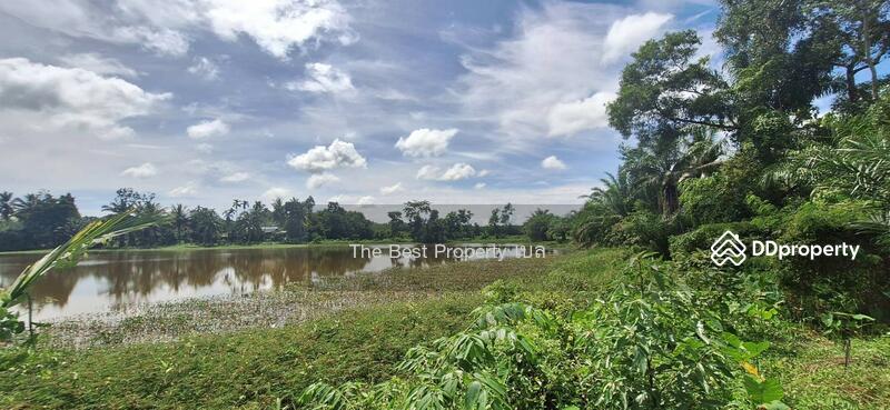 ขาย - ที่ดินนาทราย นครศรีธรรมราช, นครศรีธรรมราช