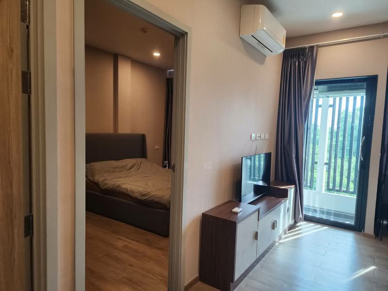 เช่าคอนโดสร้างใหม่ มิตรภาพซ.4, Nakhon Ratchasima, Nai Muang, Muang Nakhon Ratchasima, Nakhon Ratchasima, 1 Bedroom, 34 sqm, Single Detached House For Rent, by วิรณี, 11906894 - DDproperty.com