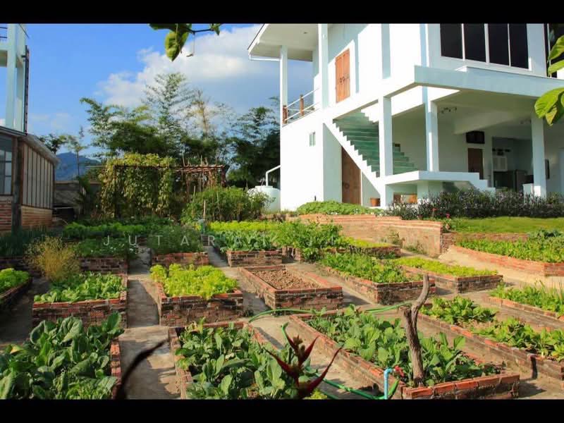 ที่ดิน อำเภอเทิง จังหวัดเชียงราย, เชียงราย, งาว, เทิง, เชียงราย, 4,720 ตร.ม., ที่ดิน ขาย, โดย Jutarat Jitmun, 11907193 - DDproperty.com
