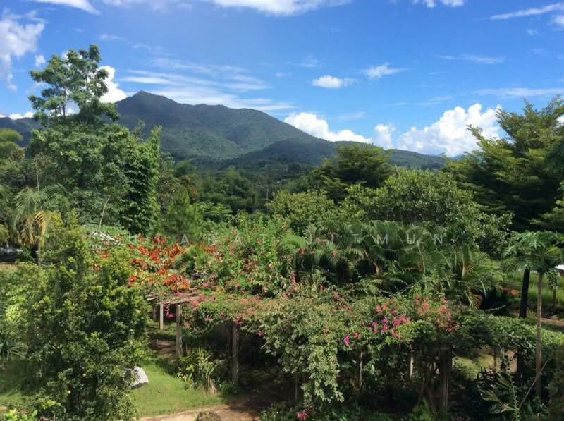 ที่ดิน อำเภอเทิง จังหวัดเชียงราย, Chiang Rai, Ngao, Thoeng, Chiang Rai, , 4,720 sqm, Land For Sale, by Jutarat Jitmun, 11907193 - DDproperty.com