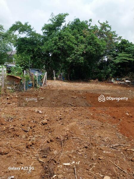 ขาย - ที่ดินเปล่าใจกลางชุมชน เหมาะสำหรับทำที่พักอาศัย ขนาด 200 ตรว. ใกล้ Big C ปากช่อง โคราช, นครราชสีมา