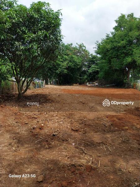 ขาย - ที่ดินเปล่าใจกลางชุมชน เหมาะสำหรับทำที่พักอาศัย ขนาด 200 ตรว. ใกล้ Big C ปากช่อง โคราช, นครราชสีมา