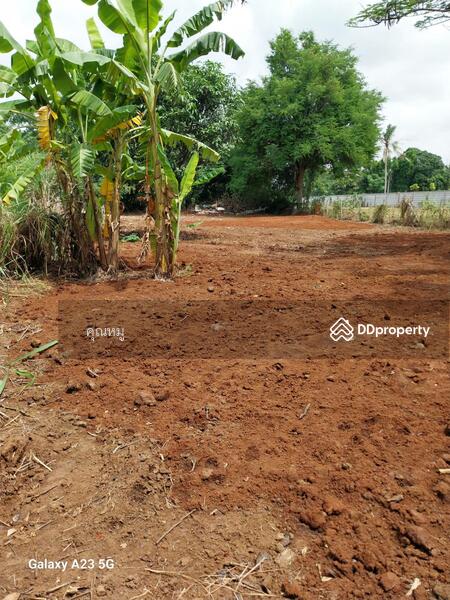 ขาย - ที่ดินเปล่าใจกลางชุมชน เหมาะสำหรับทำที่พักอาศัย ขนาด 200 ตรว. ใกล้ Big C ปากช่อง โคราช, นครราชสีมา
