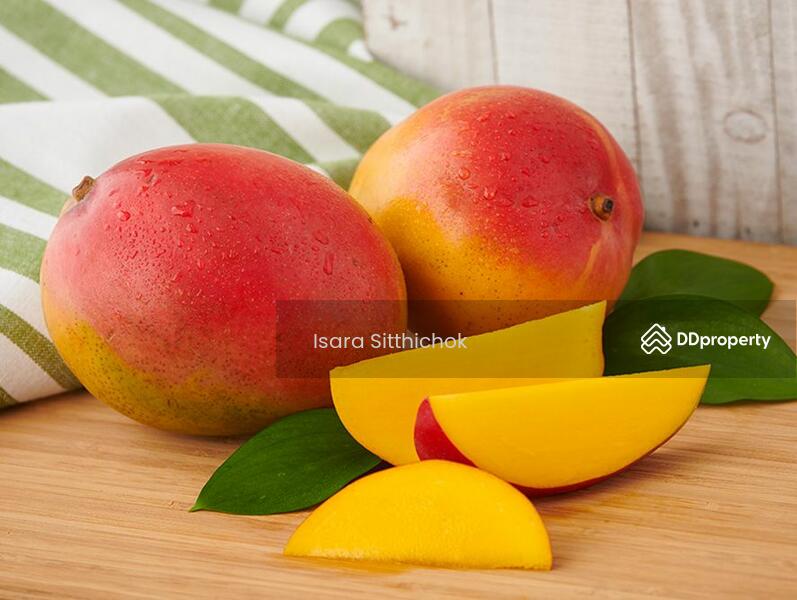 ขาย - Mango Mania – Franchise Opportunity, ภูเก็ต