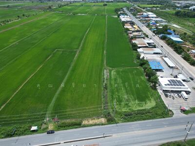 ขาย - ขายที่ดิน 123-0-51.2 ไร่ ติดถนนลำลูกกา (คลอง 11) จังหวัดปทุมธานี, ปทุมธานี
