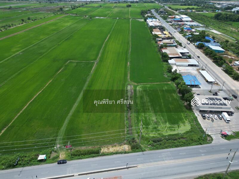 ขาย - ขายที่ดิน 123-0-51.2 ไร่ ติดถนนลำลูกกา (คลอง 11) จังหวัดปทุมธานี, ปทุมธานี