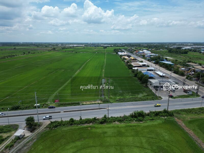 ขาย - ขายที่ดิน 123-0-51.2 ไร่ ติดถนนลำลูกกา (คลอง 11) จังหวัดปทุมธานี, ปทุมธานี