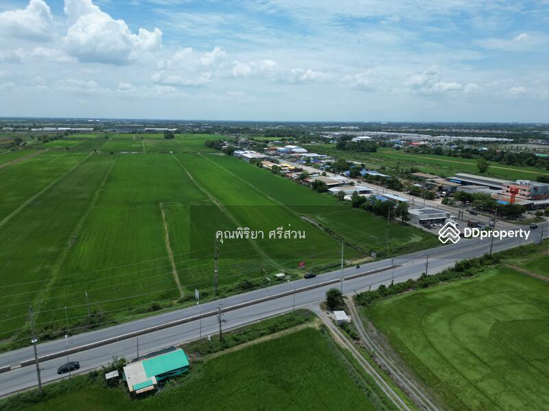 ขาย - ขายที่ดิน 123-0-51.2 ไร่ ติดถนนลำลูกกา (คลอง 11) จังหวัดปทุมธานี, ปทุมธานี