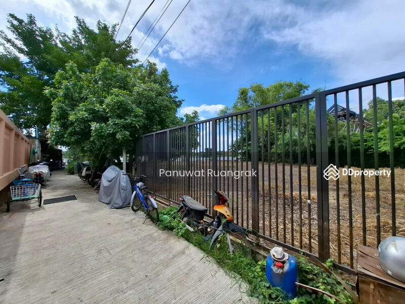 ขาย - วัดศาลาแดงเหนือ บ้านงิ้ว สามโคก, ปทุมธานี