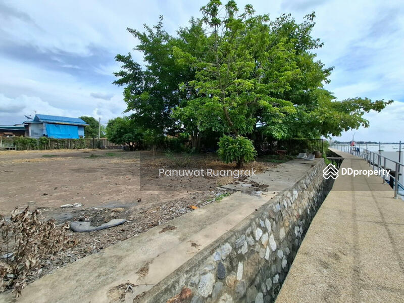 ขาย - วัดศาลาแดงเหนือ บ้านงิ้ว สามโคก, ปทุมธานี
