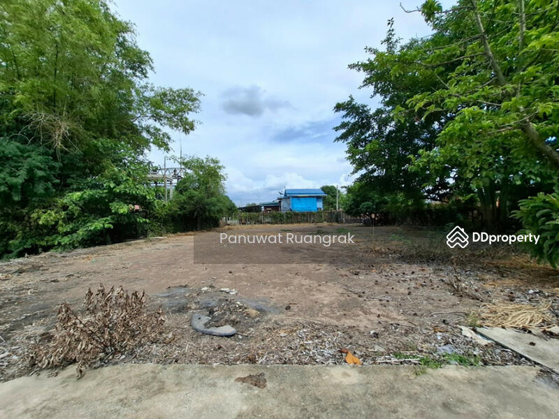 ขาย - วัดศาลาแดงเหนือ บ้านงิ้ว สามโคก, ปทุมธานี