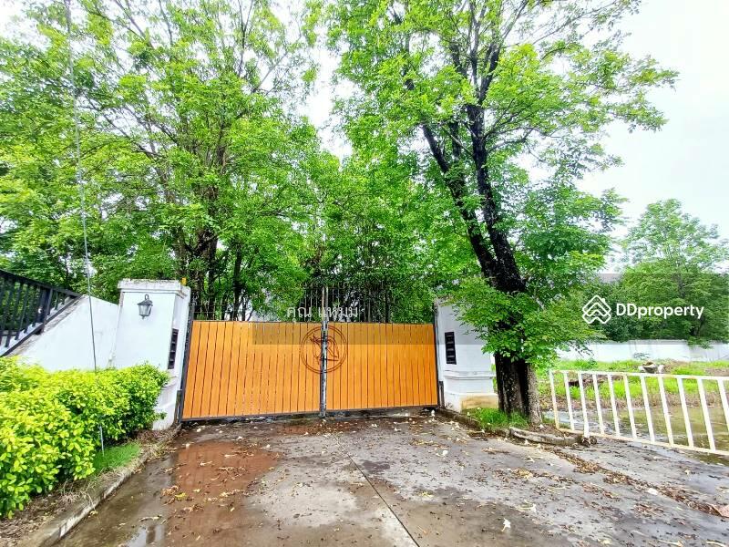 For Rent - Rosesarin, Chiang Mai