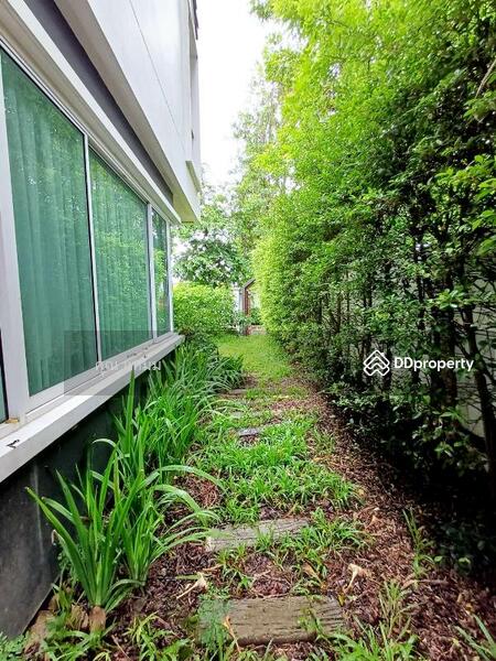 For Rent - Rosesarin, Chiang Mai