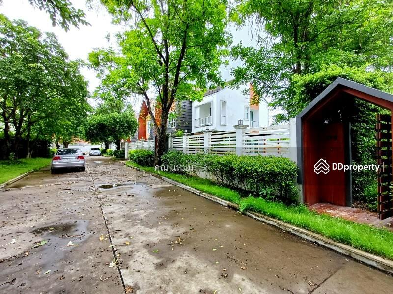 For Rent - Rosesarin, Chiang Mai