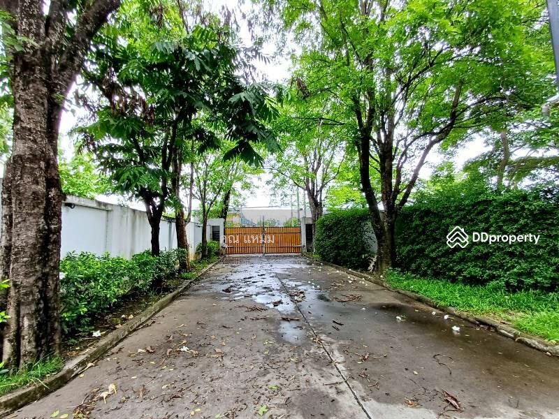 For Rent - Rosesarin, Chiang Mai