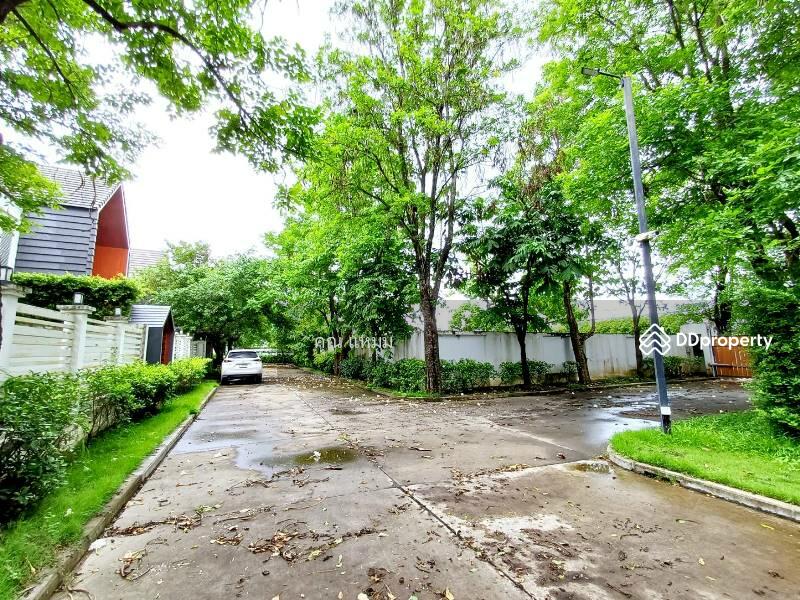 For Rent - Rosesarin, Chiang Mai