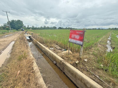 ขาย - ที่ดินแม่แตง เชียงใหม่, เชียงใหม่