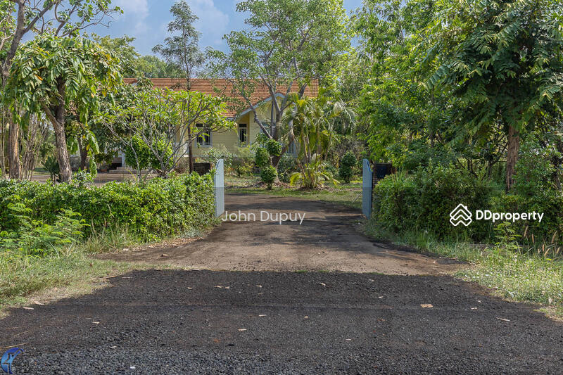 For Sale - Beautiful 4 bed Cottage Na Suang Det Udom, Ubon Ratchathani