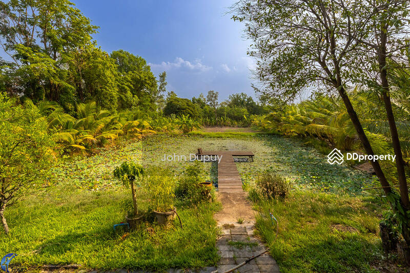 For Sale - Beautiful 4 bed Cottage Na Suang Det Udom, Ubon Ratchathani