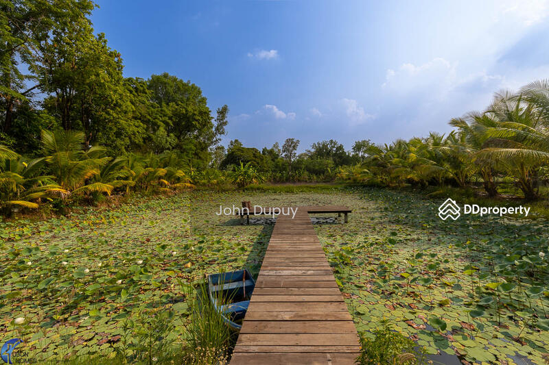 For Sale - Beautiful 4 bed Cottage Na Suang Det Udom, Ubon Ratchathani