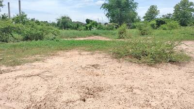 ขาย - ที่ดินสมอแข พิษณุโลก, พิษณุโลก