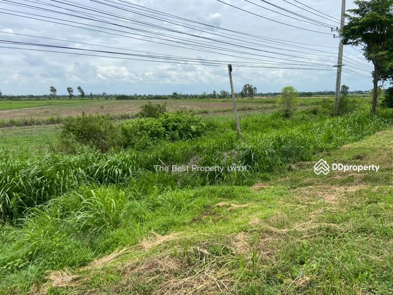 ขาย - ที่ดินท่าตะโก นครสวรรค์, นครสวรรค์