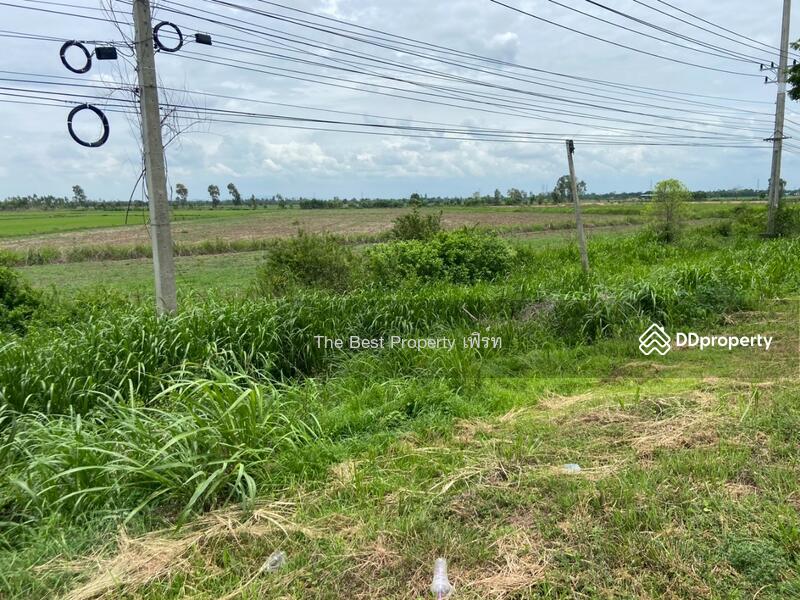 ขาย - ที่ดินท่าตะโก นครสวรรค์, นครสวรรค์