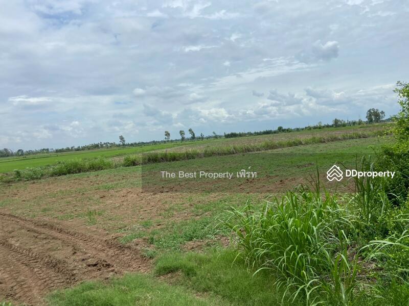 ขาย - ที่ดินท่าตะโก นครสวรรค์, นครสวรรค์