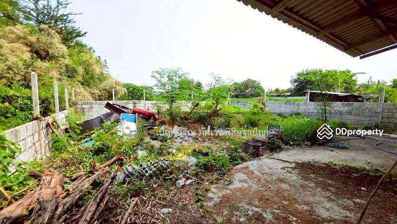 ขาย - WR-874304 ที่ดินพร้อมสิ่งปลูกสร้างหนองปากโลง 265 ตร.ว. นครปฐม ใกล้พระราชวังสนามจันทร์, นครปฐม