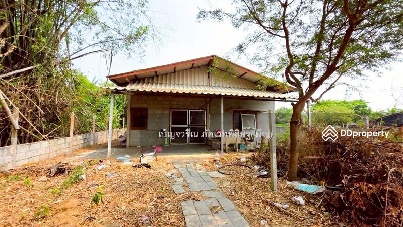 ขาย - WR-874304 ที่ดินพร้อมสิ่งปลูกสร้างหนองปากโลง 265 ตร.ว. นครปฐม ใกล้พระราชวังสนามจันทร์, นครปฐม