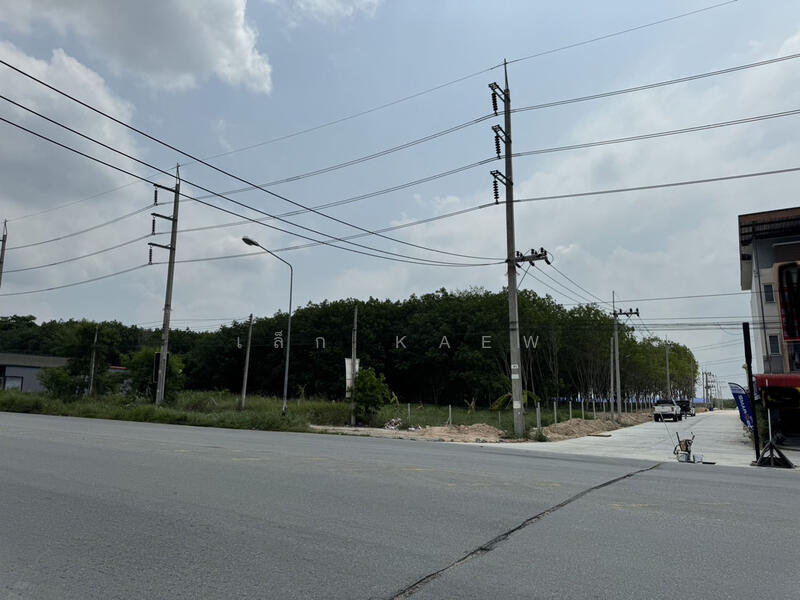 4 ไร่ ติดถนนสาธารณะ 2 ด้าน สูงกว่าถนนไม่ต้องถม, Rayong, Pluak Daeng, Rayong, , 6,400 sqm, Land For Sale, by Jhongkol Kaewrungruang, 11912887 - DDproperty.com