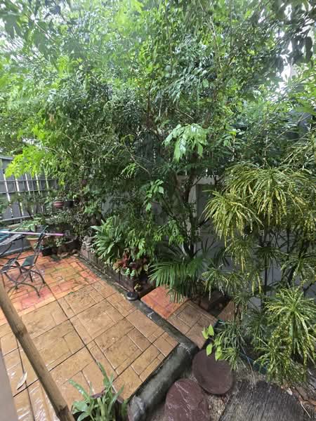 เสนาวิลล่า, Bangkok, 1 คู้บอน, Tha Rang, Bang Khen, Bangkok, 3 Bedrooms, 180 sqm, Single Detached House For Rent, by กุลจิรา อภัยโส, 11912942 - DDproperty.com