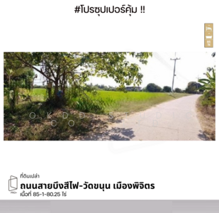 ขาย - ที่ดินเปล่า ถนนสายบึงสีไฟ-วัดขนุน พิจิตร, พิจิตร, พิจิตร