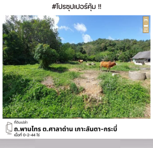 ขาย - ที่ดินเปล่า ถ.พานไทร เกาะลันตา, กระบี่, กระบี่
