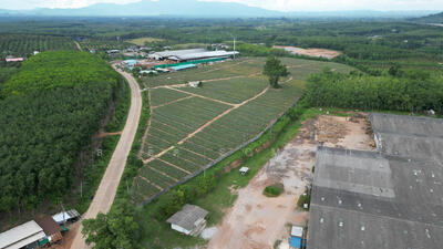 ขาย - ที่ดิน 40-3-7.1ไร่ จ.ระยอง, ระยอง