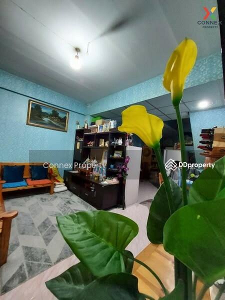 ขาย - Rainbow House Praksa : บ้านสายรุ้ง แพรกษา, สมุทรปราการ