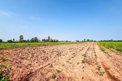 ขาย - DD-894408 ที่ดินโนนสะอาด 6 ไร่ 187 ตร.ว. อุดรธานี ใกล้ที่ทำการองค์การบริหารส่วนตำบลโคกกลาง, อุดรธานี