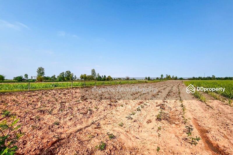 For Sale - DD-894408 Non Sa-at land, 6 rai 187 sq w, Udon Thani, Udon Thani