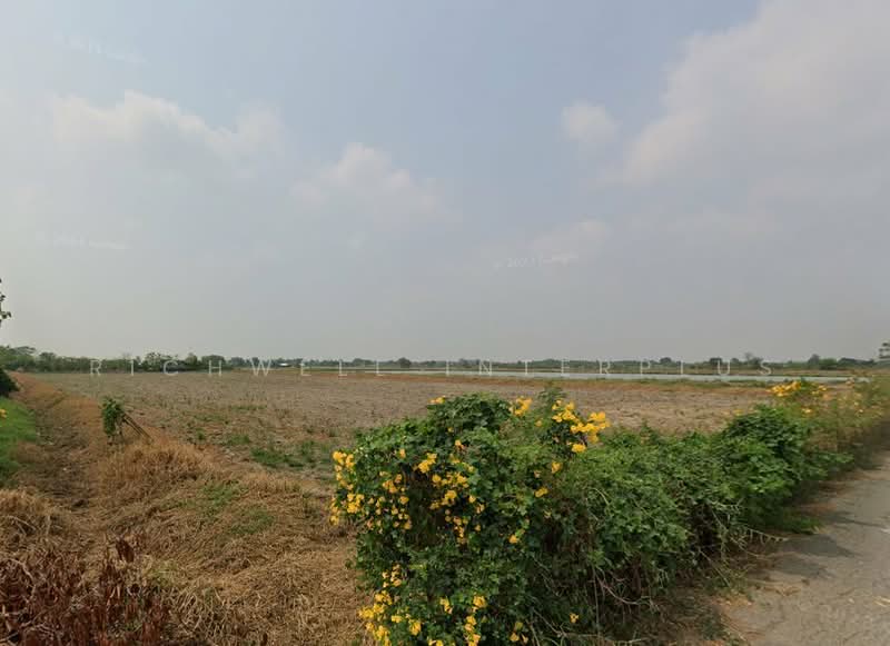 Land for sale in Bang Kaew, Paet Riew, with asphalt road on 2 sides, area 8 rai,, Chachoengsao, Bang Kaeo, Muang Chachoengsao, Chachoengsao, , 14,212 sqm, Land For Sale, by RICHWELL INTERPLUS, 11914406 - DDproperty.com
