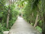 ที่ดินเกาะเกร็ด นนทบุรี ให้เช่า เหมาะค้าขาย เปิดร้านคาเฟ่, นนทบุรี
