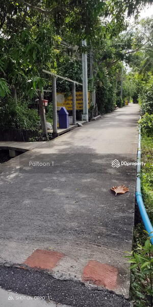 For Rent - Kohkret Nonthaburi land for rent, Nonthaburi