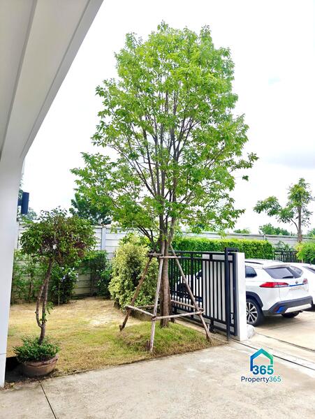 Mitti Lamlukka-Klong 6, Pathum Thani, Rural Highway No. 5013, Bung Kham Proi, Lam Luk Ka, Pathum Thani, 3 Bedrooms, 140 sqm, Single Detached House For Rent, by Supawit (Max) Witanin, 11914965 - DDproperty.com