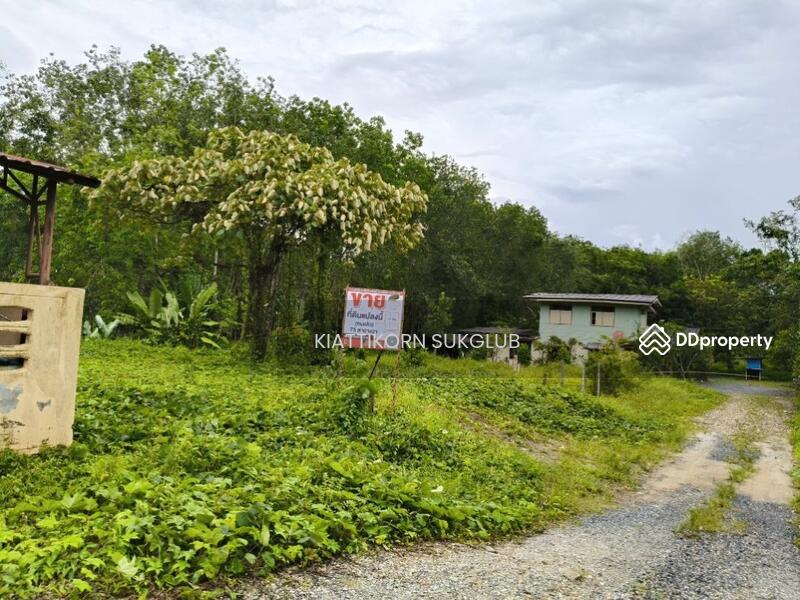 ขาย - ที่ดิน, นครศรีธรรมราช